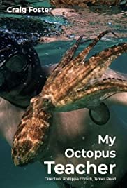 image for My Octopus Teacher