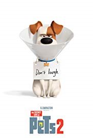image for Secret Life of Pets 2, The